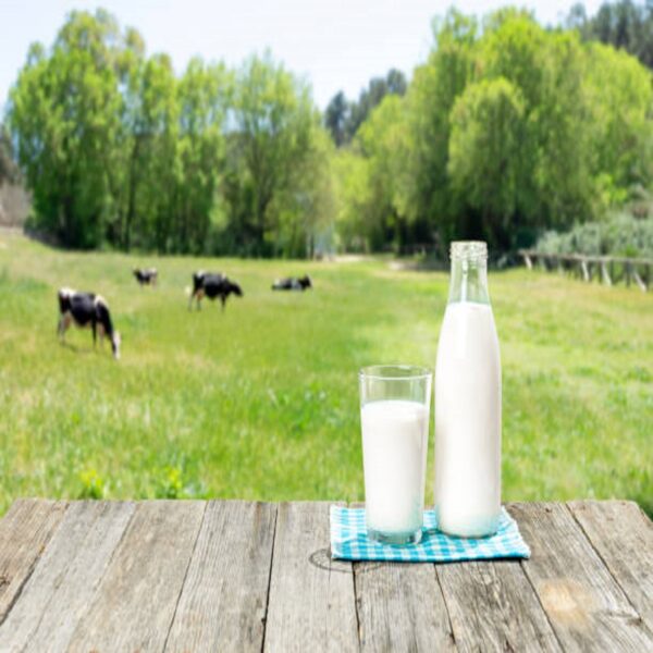 Lait entier 500ml