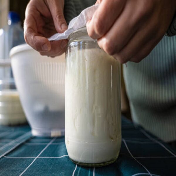 Yaourt nature 125g (lot 4)