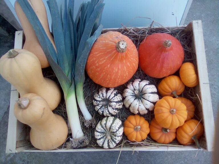 Ferme Rouzé Jean François & Céline