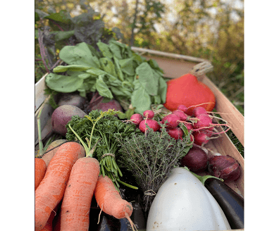 votre-panier-de-la-cueillette